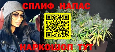 гидра Нарткала