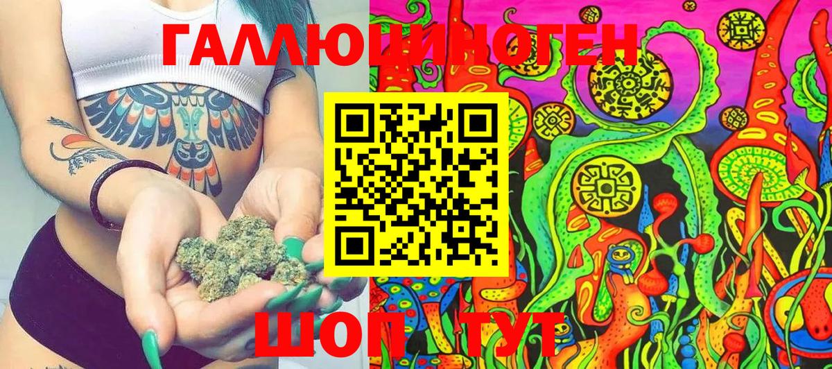 Псилоцибиновые грибы Cubensis  Вход с VPN  Черногорск 